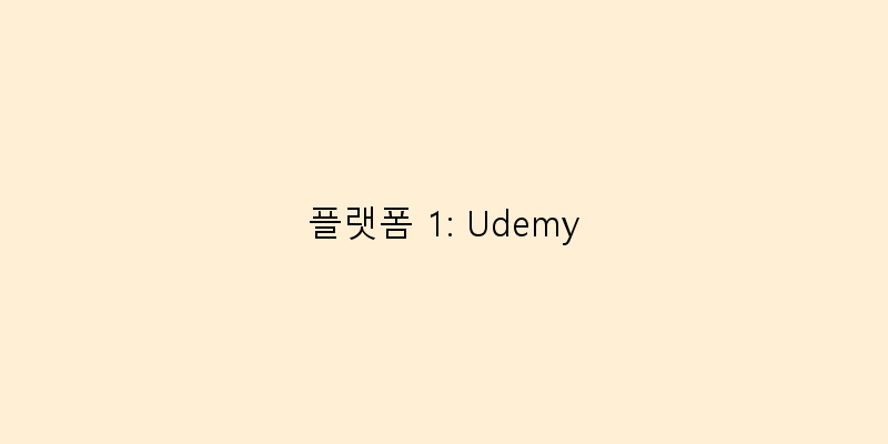 
  플랫폼 1: Udemy
 이미지