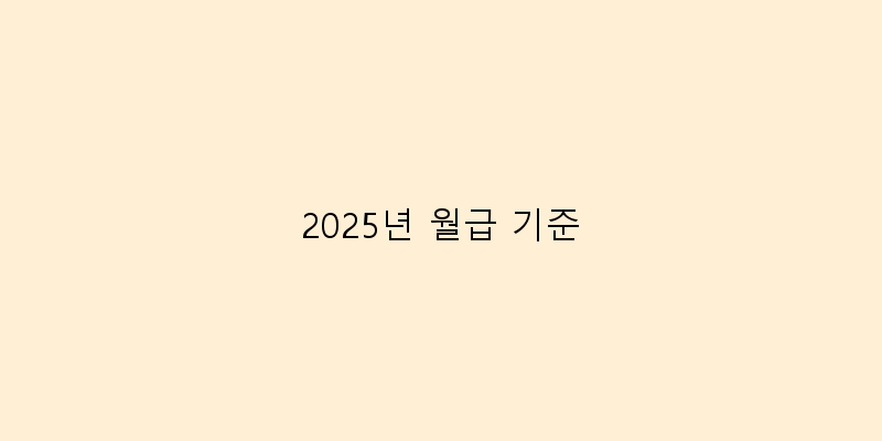 2025년 월급 기준 이미지