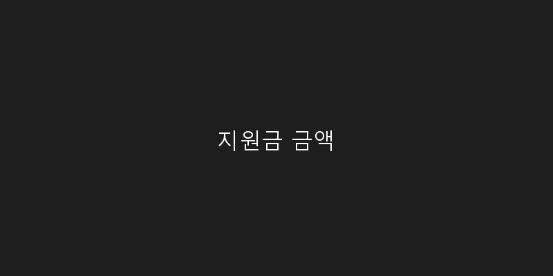 지원금 금액 이미지