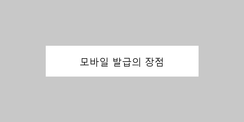 
  모바일 발급의 장점
 이미지