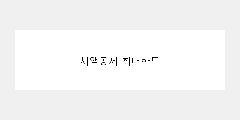 
  세액공제 최대한도
 이미지