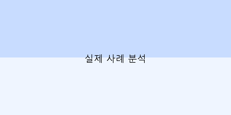
  실제 사례 분석
 이미지