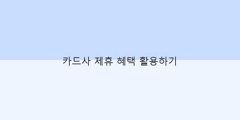 
  카드사 제휴 혜택 활용하기
 이미지