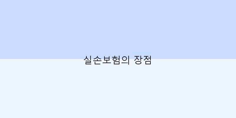 
  실손보험의 장점
 이미지