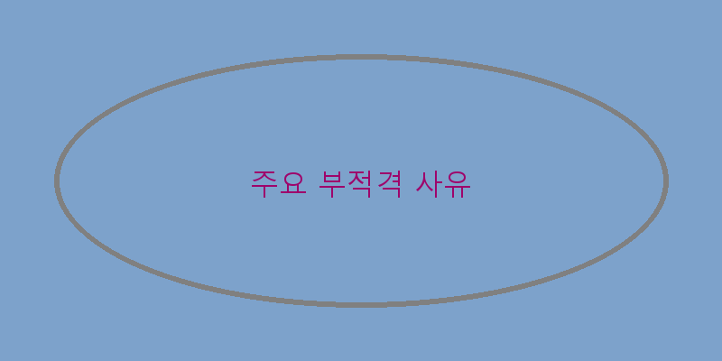 
  주요 부적격 사유
 이미지