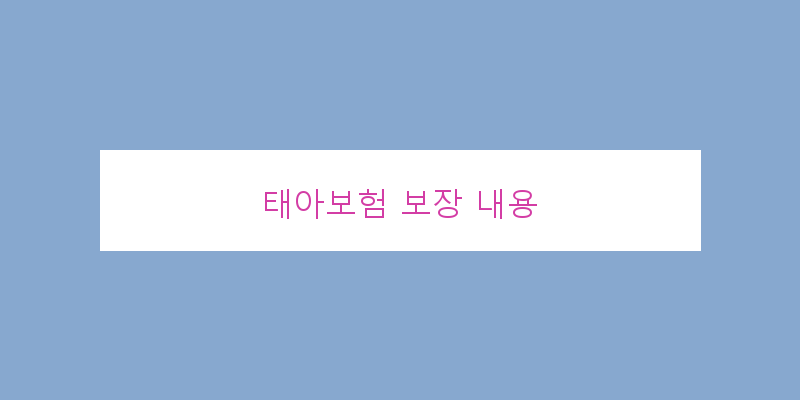 
  태아보험 보장 내용
 이미지