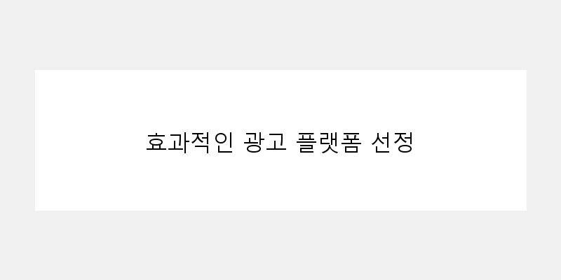 
  효과적인 광고 플랫폼 선정
 이미지