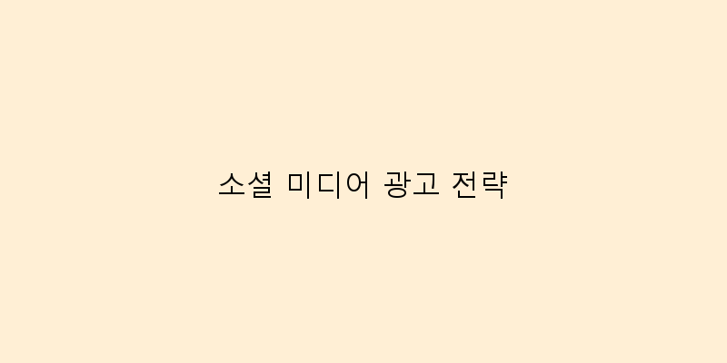 
  소셜 미디어 광고 전략
 이미지