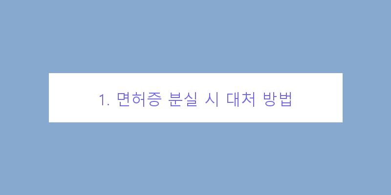 인터넷면허증분실재발급