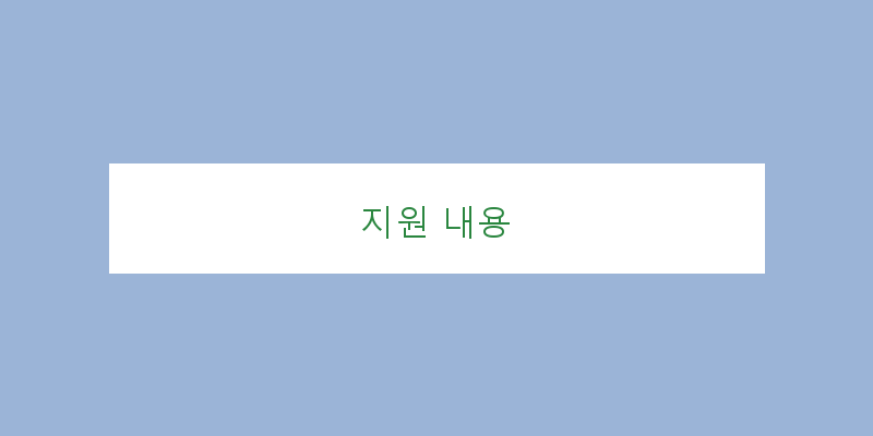 
  지원 내용
 이미지