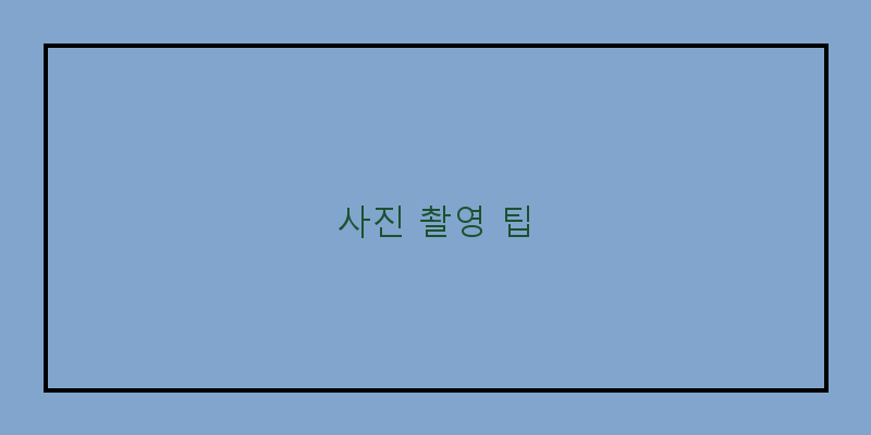 
  사진 촬영 팁
 이미지