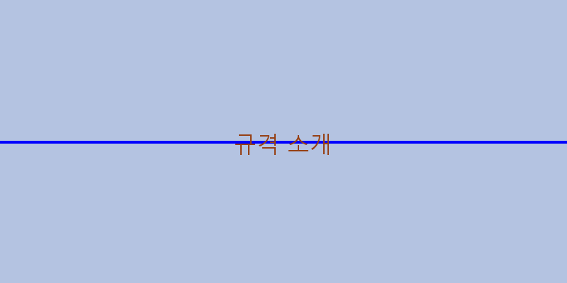 장애인등록증사진규격
