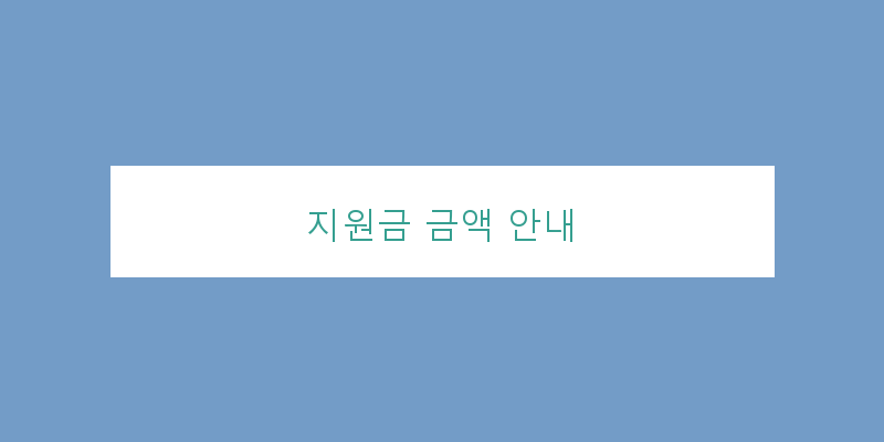 
  지원금 금액 안내
 이미지