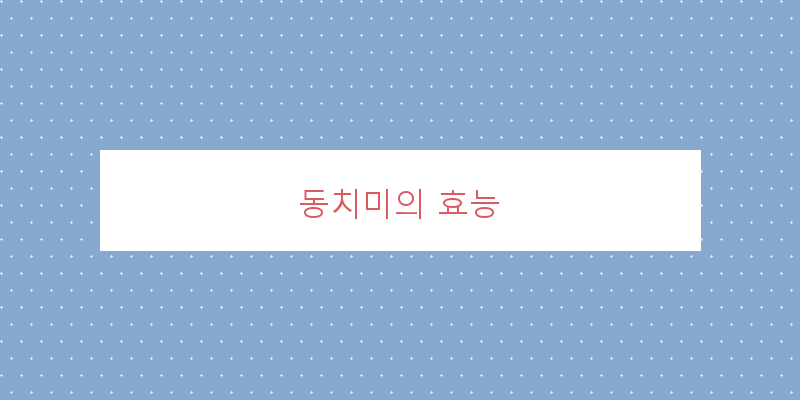 
  동치미의 효능
 이미지