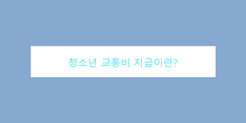 청소년교통비지급기준