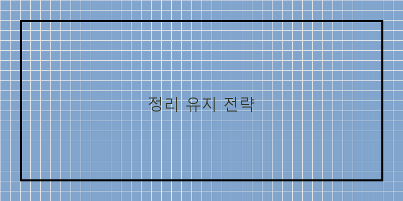 
  정리 유지 전략
 이미지