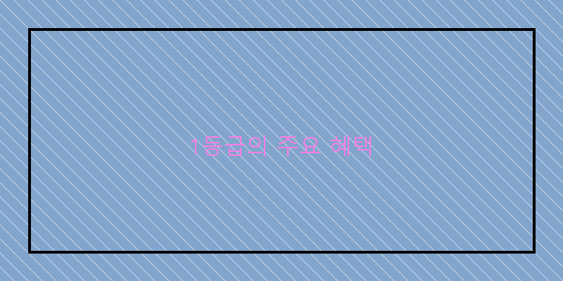 
  1등급의 주요 혜택
 이미지