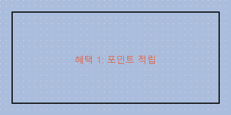 
  혜택 1: 포인트 적립
 이미지