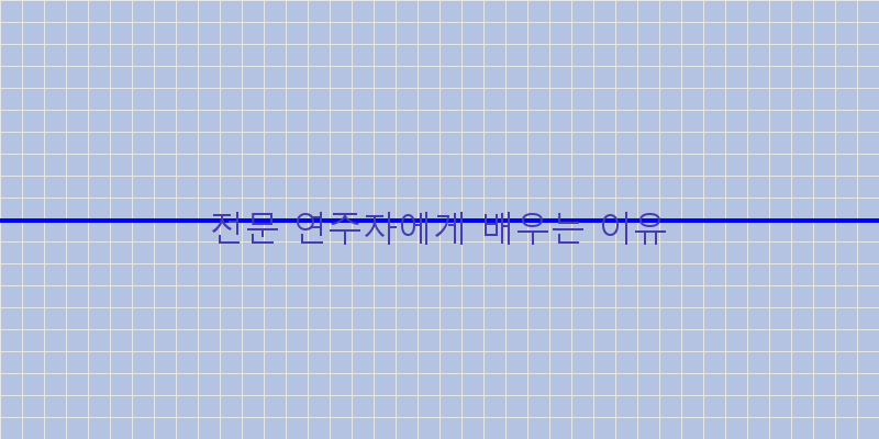 
  전문 연주자에게 배우는 이유
 이미지