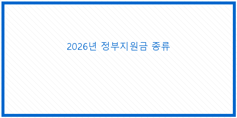 2026년 정부지원금 종류
이미지