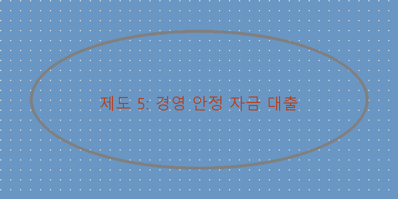 
  제도 5: 경영 안정 자금 대출
 이미지