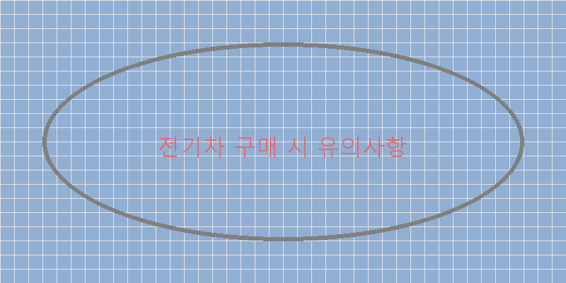 
  전기차 구매 시 유의사항
 이미지