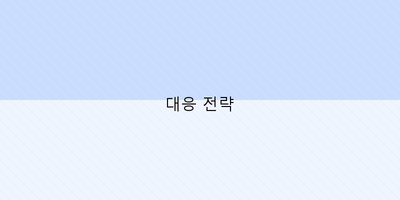 
  대응 전략
 이미지