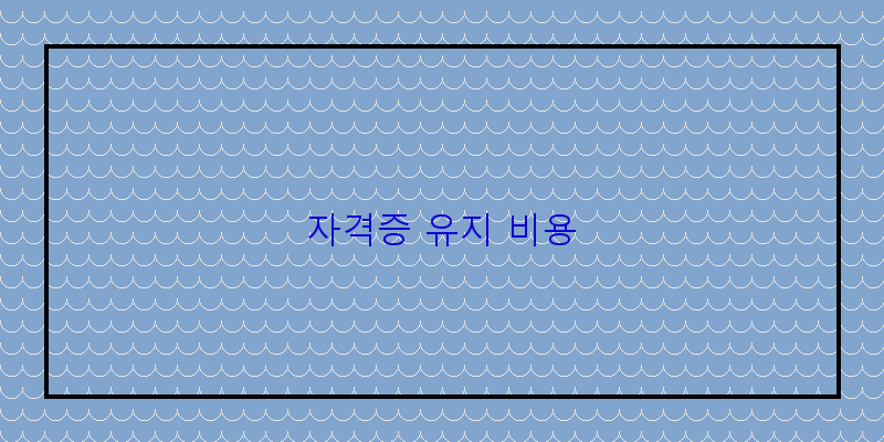 
  자격증 유지 비용
 이미지