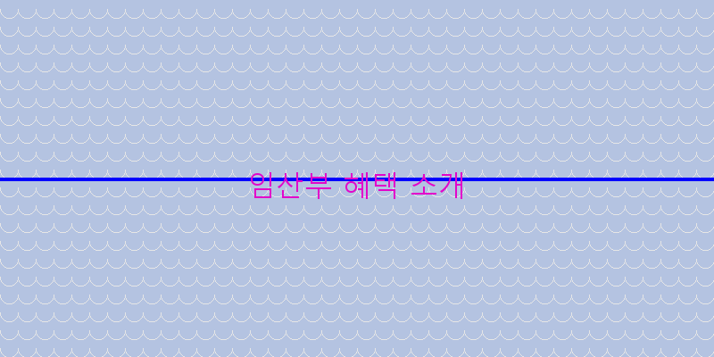 
  임산부 혜택 소개
 이미지