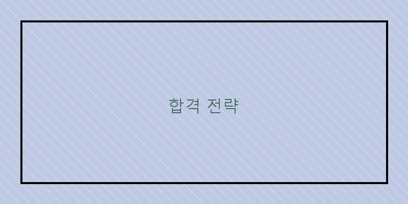 
  합격 전략
 이미지