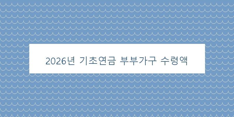 
  2026년 기초연금 부부가구 수령액
 이미지