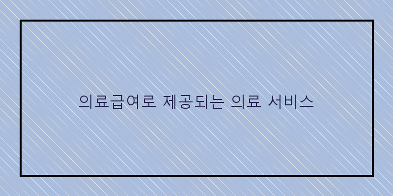 
  의료급여로 제공되는 의료 서비스
 이미지