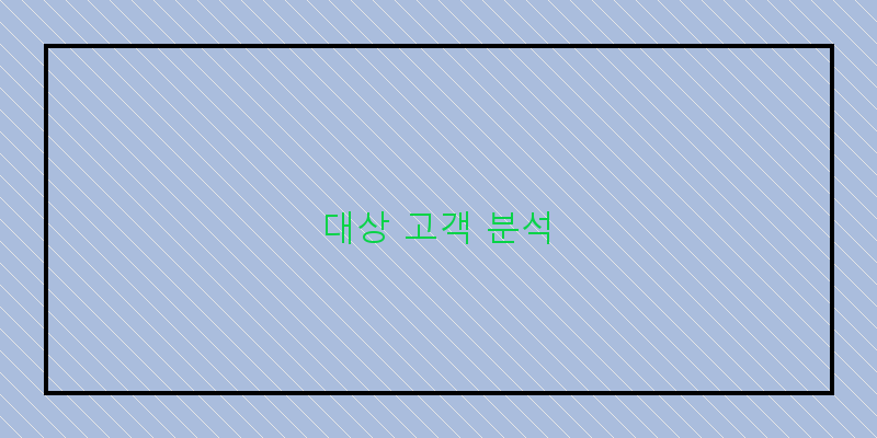 대상 고객 분석
이미지