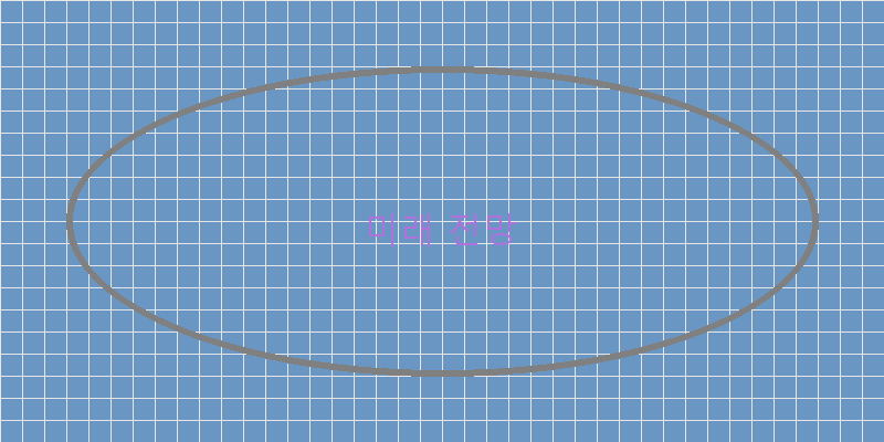 미래 전망
이미지