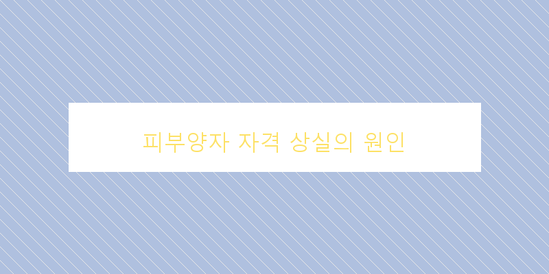 피부양자 자격 상실 후 대처 방법, 이렇게 준비하세요!