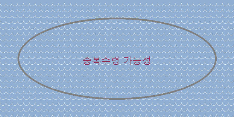 
  중복수령 가능성
 이미지