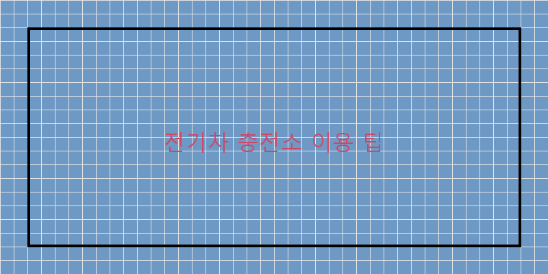 
  전기차 충전소 이용 팁
 이미지