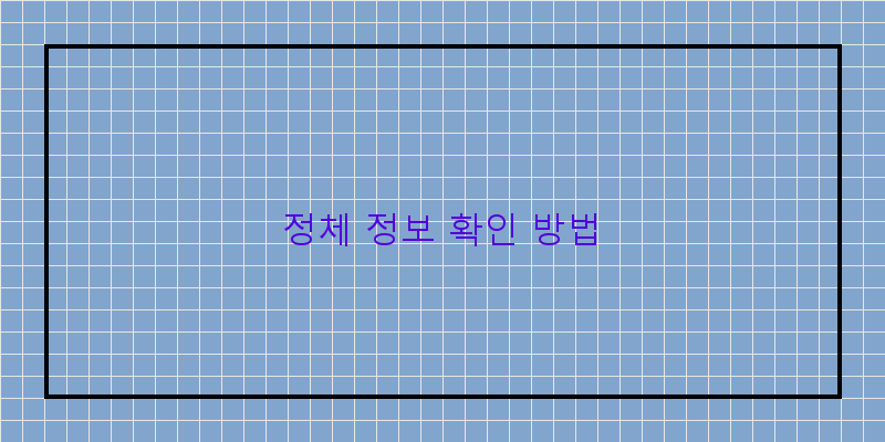정체 정보 확인 방법
이미지