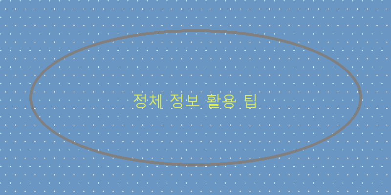 정체 정보 활용 팁
이미지