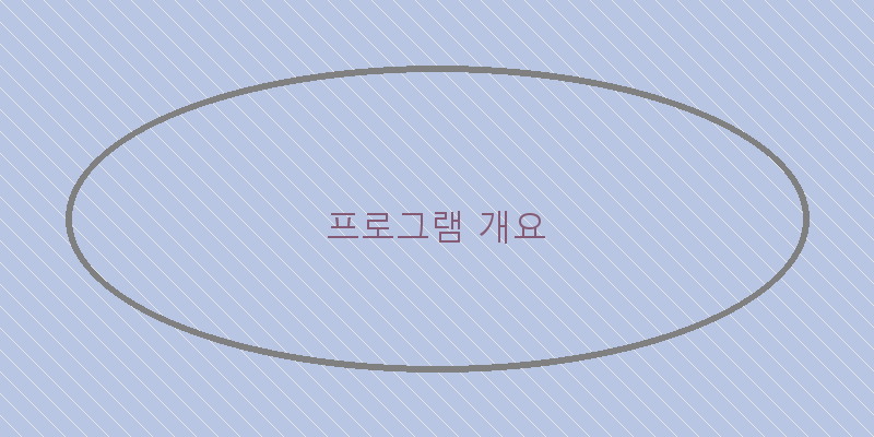 
  프로그램 개요
 이미지