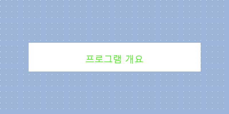 
  프로그램 개요
 이미지