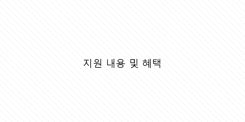
  지원 내용 및 혜택
 이미지