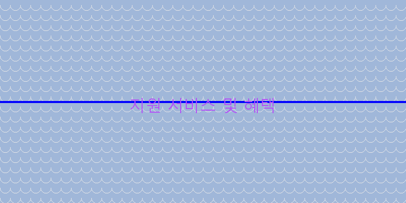 
  지원 서비스 및 혜택
 이미지