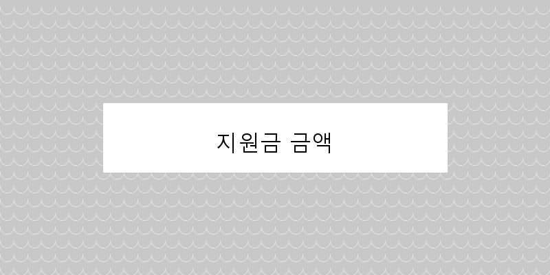 
  지원금 금액
 이미지