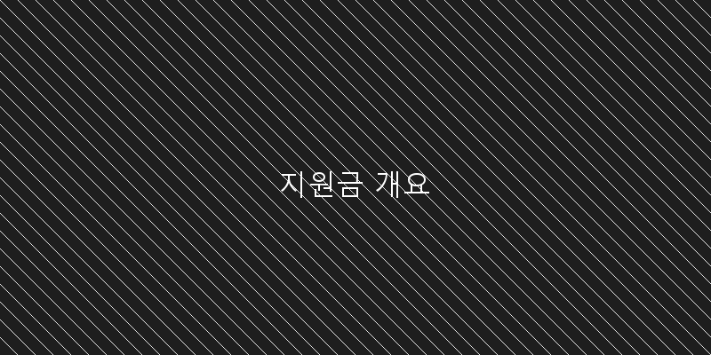 
  지원금 개요
 이미지