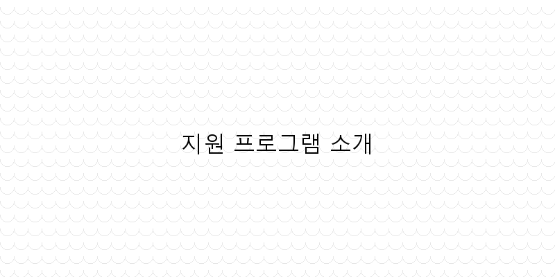 
  지원 프로그램 소개
 이미지