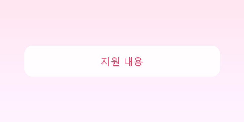 
  지원 내용
 이미지