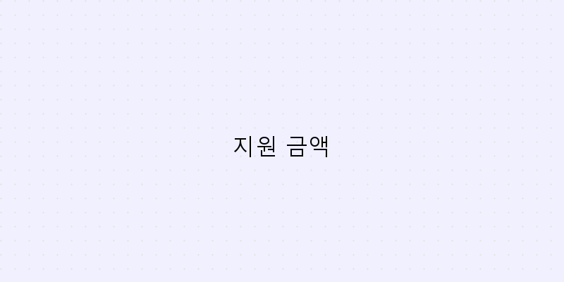 지원 금액 이미지