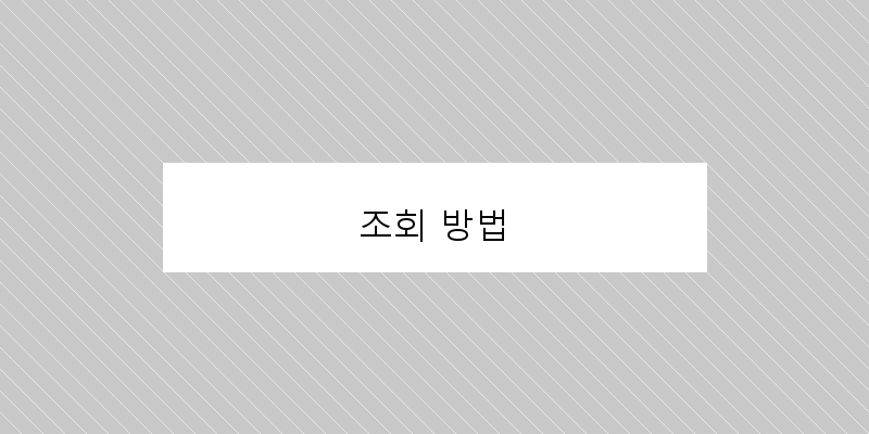 조회 방법 이미지