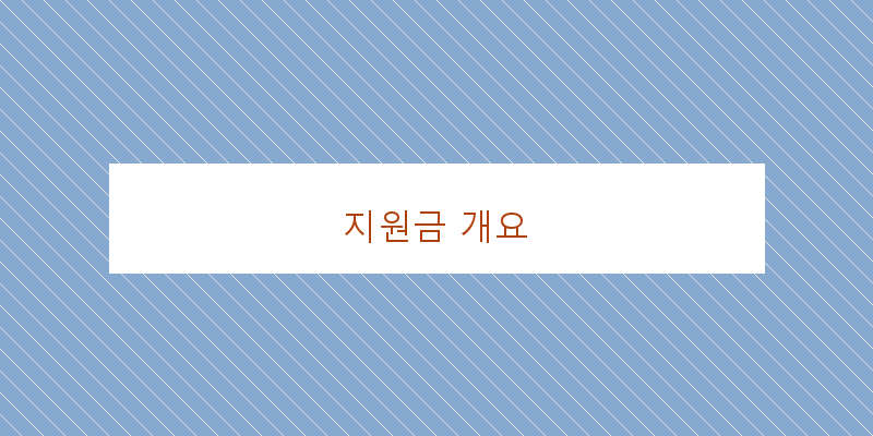 지원금 개요 이미지